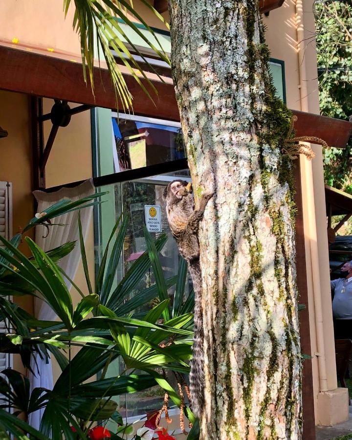 Pousada Pataca De Prata - Pousada De Epoca Petrópolis 外观 照片